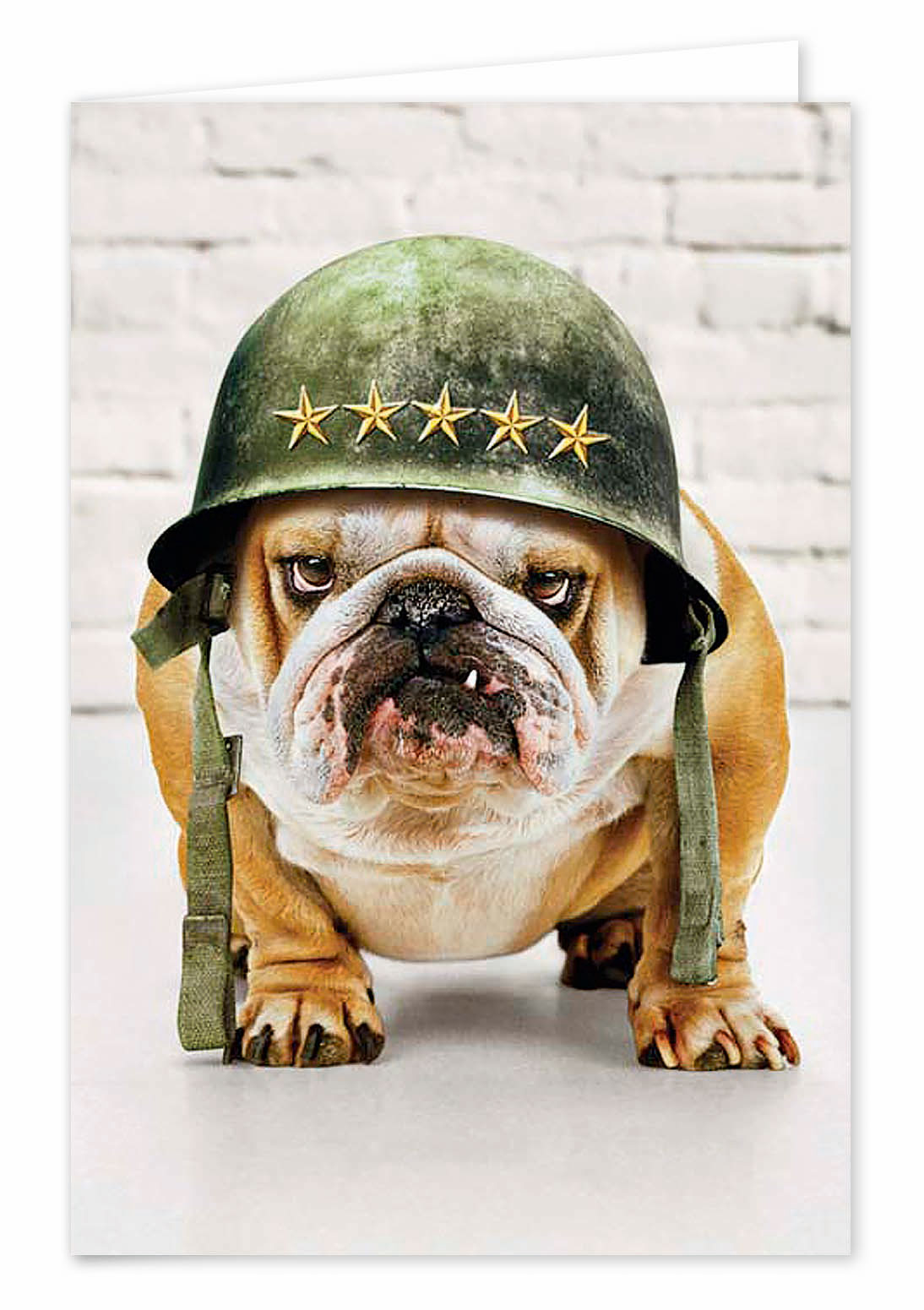 Biglietti buon compleanno umoristico