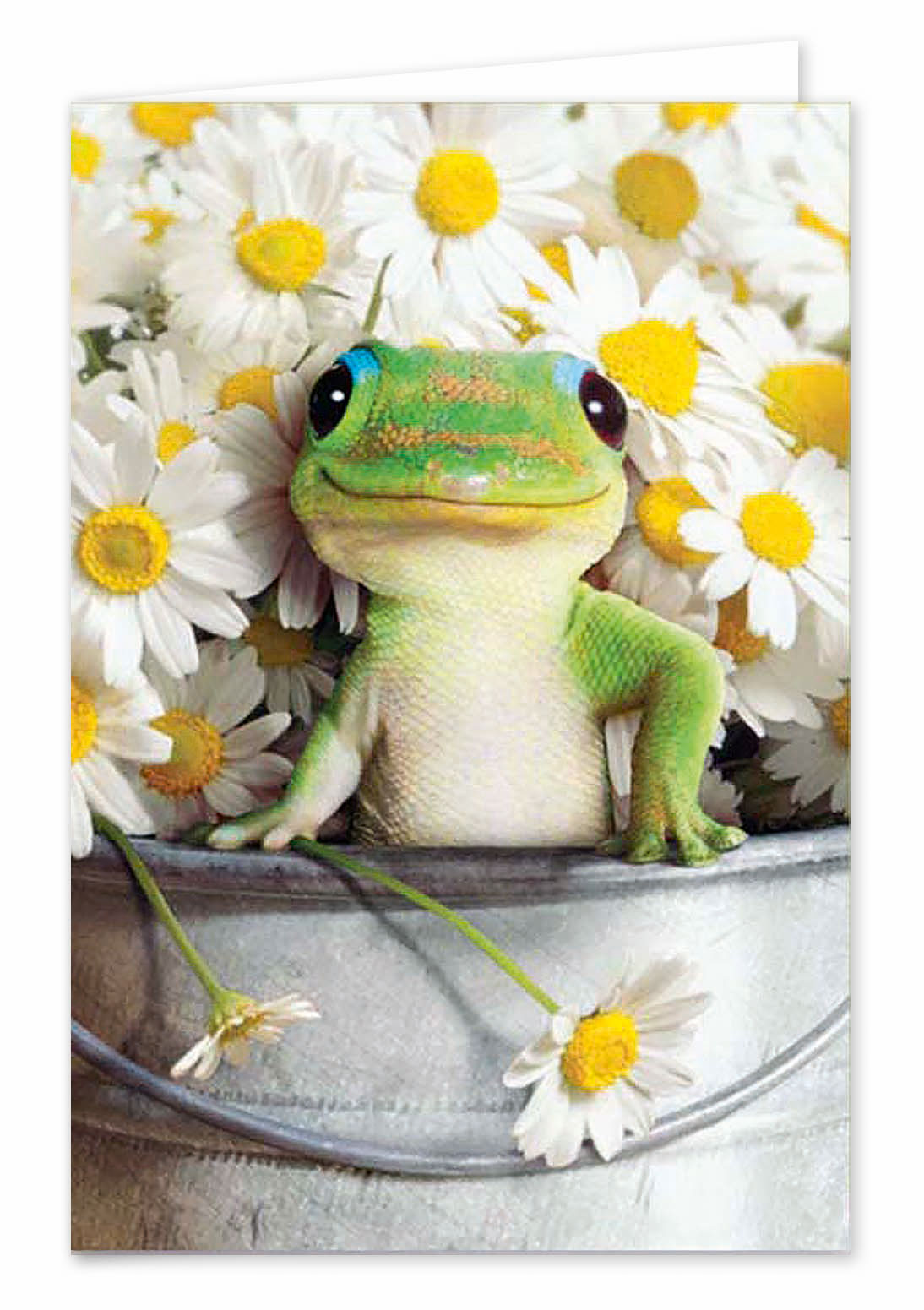 Biglietti buon compleanno umoristico