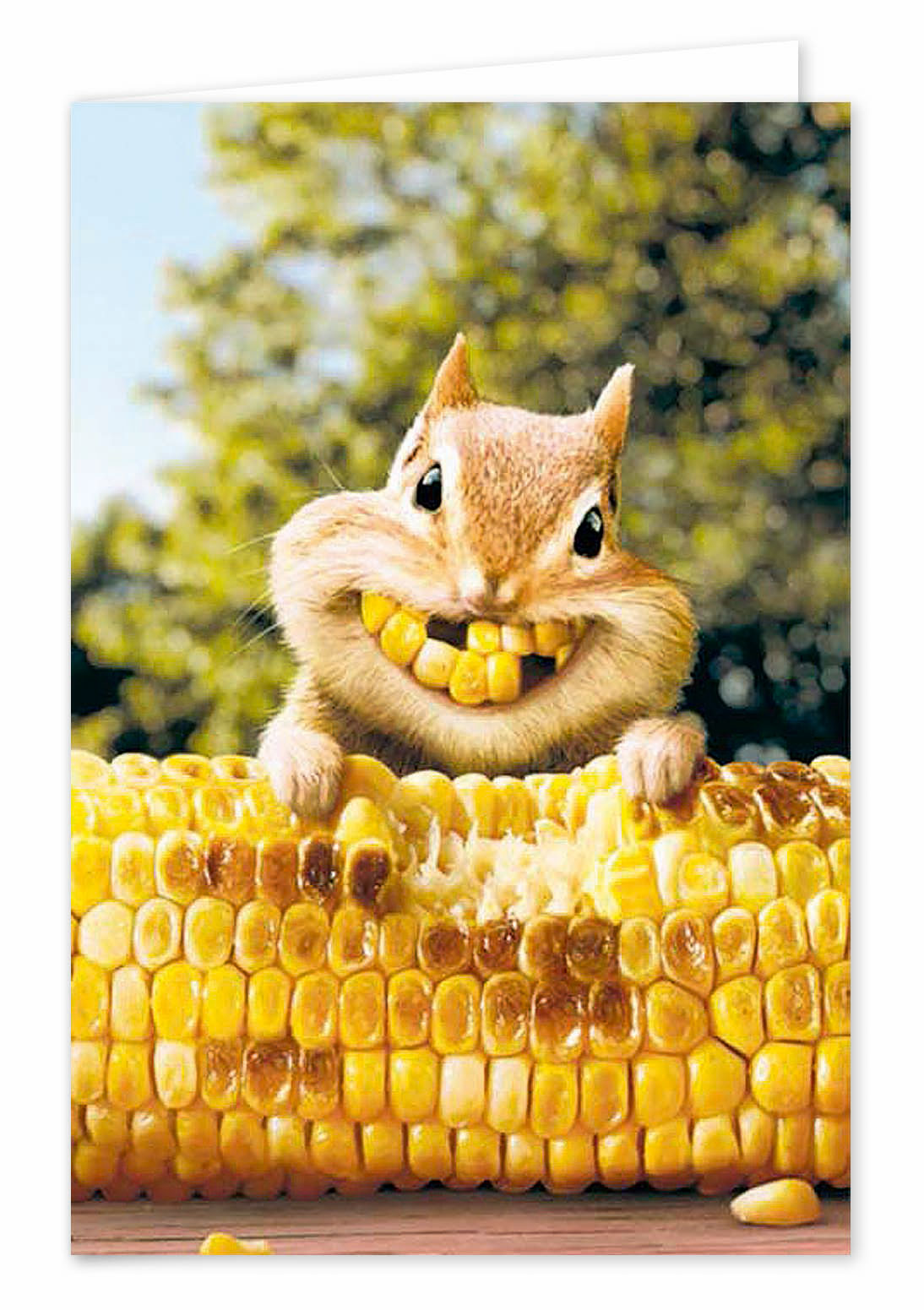 Biglietti buon compleanno umoristico