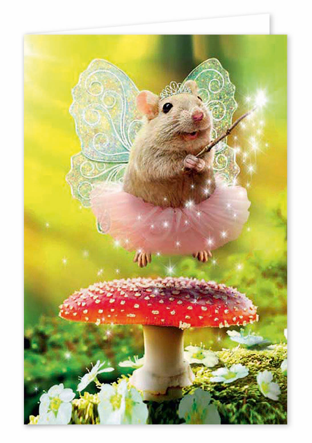 Biglietti buon compleanno umoristico