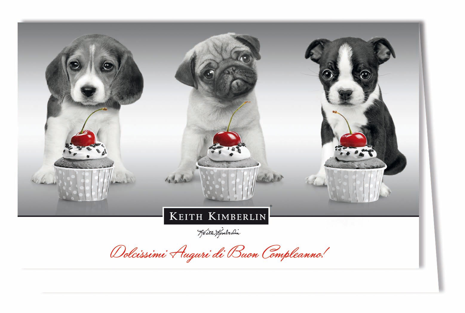 Biglietti licenziati keith kimberlin