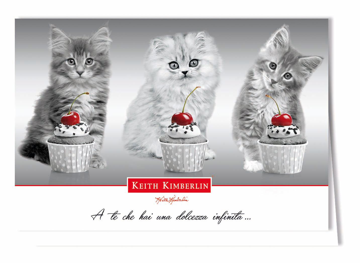 Biglietti licenziati keith kimberlin