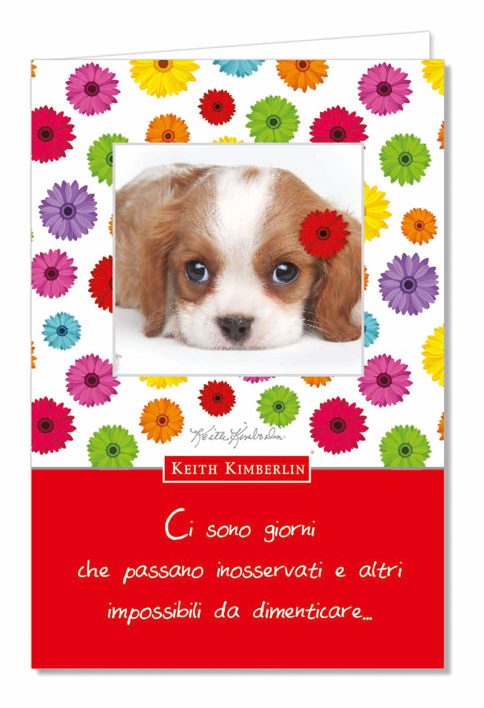 Biglietti licenziati keith kimberlin