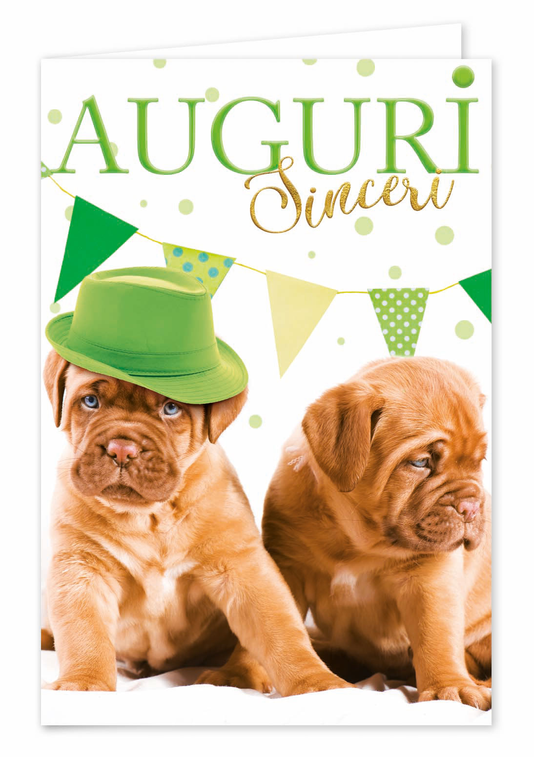 Biglietti buon compleanno cuccioli