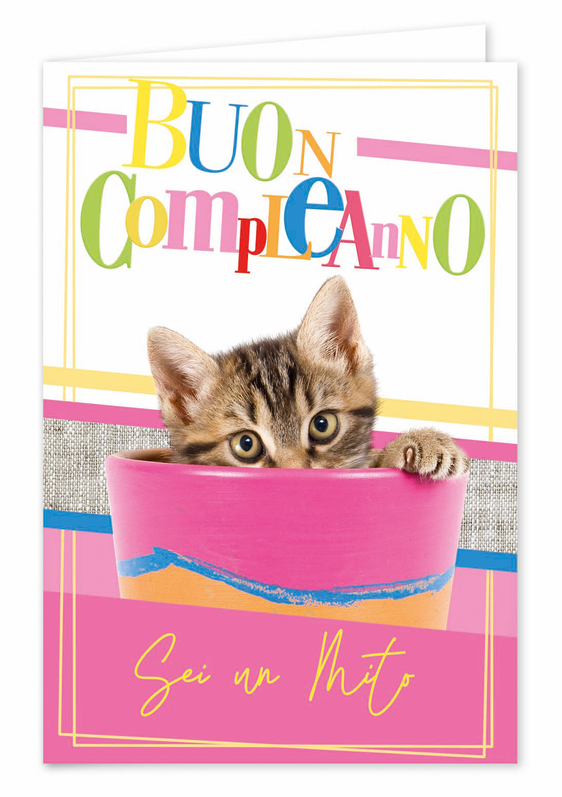 Biglietti buon compleanno cuccioli