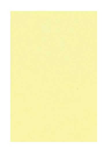 RT2 tinta unita liscia pastello