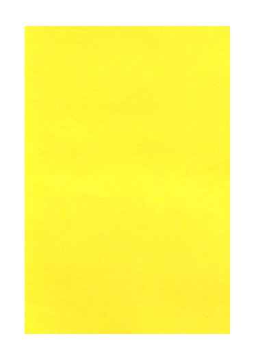 RT2 tinta unita liscia pastello