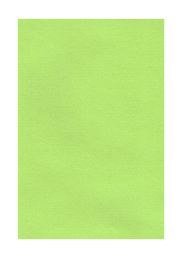 RT2 tinta unita liscia pastello